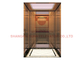 Panoramic Home Villa Elevator Lift Center Opening Door
