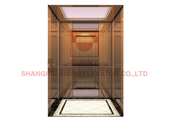 Panoramic Home Villa Elevator Lift Center Opening Door Modern Home Furnishing