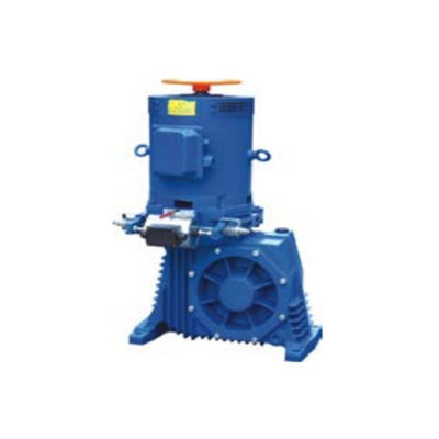 AC220V Brake Escalator Drive E-Drive Momentum And GlideStream Drive