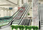 1000mm Subway 2 Cascade 0.5m Shopping Mall Escalator Screw Type Elevator