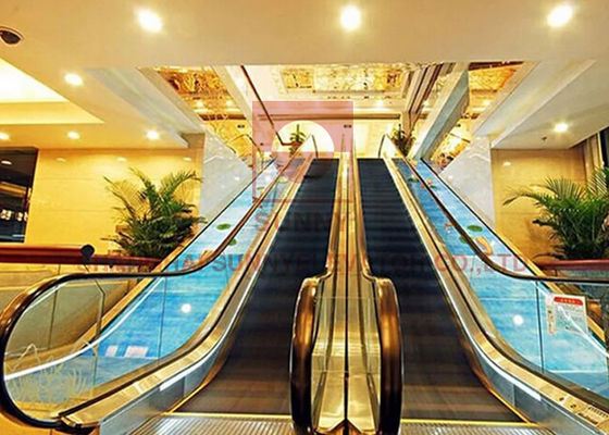 1000mm Subway 2 Cascade 0.5m Shopping Mall Escalator Screw Type Elevator