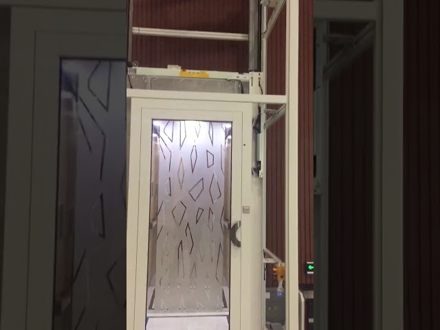 Load 320kg Villa Used Home Passenger Elevator Lift Hydraulic Type