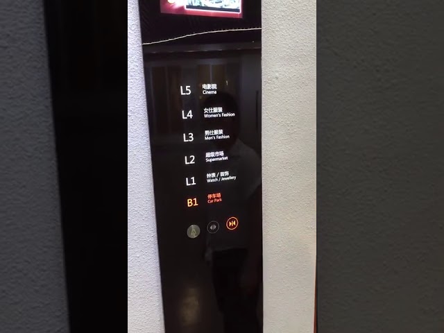 Load 630KG Double Door Machine Roomless Passage Elevator with Hairline Stainless Steel