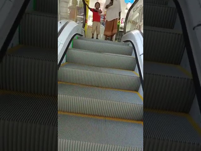 Indoor Shopping Mall Escalator Safety VVVF Energy Saving System Customized
