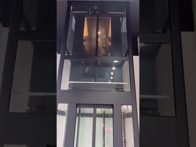 320kg Stainless Steel Modern Exterior Residential Elevator Lift