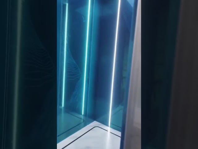 Germany Quality Elevator With Gearless Traction For Passenger Elevator