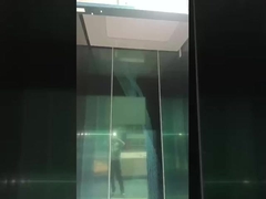 Passenger Personal Villa Elevators 3 Floor Outside Outdoor Indoor Elevator Lift